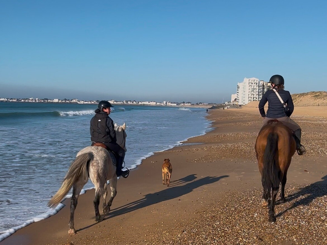 Les Ecuries de la Sauzaie-Bretignolles Sur Mer必去景点