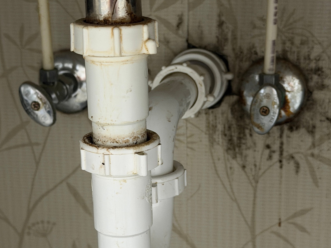 埃芬汉假日酒店主图