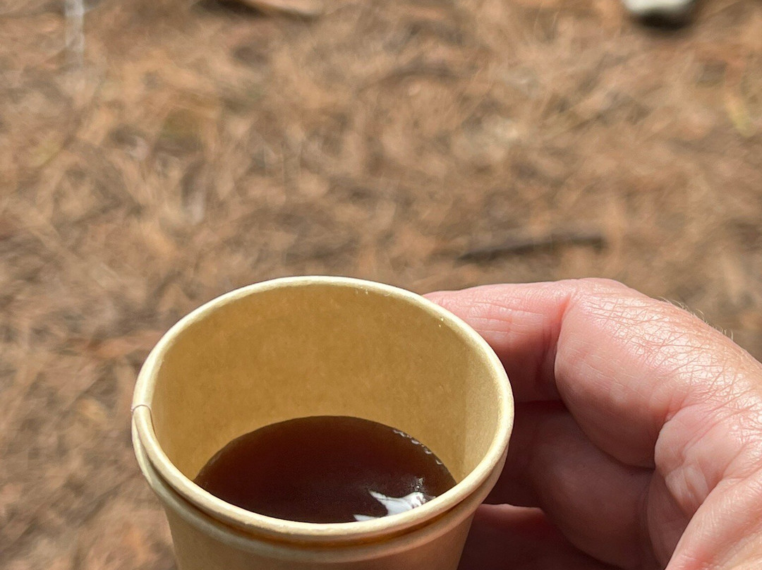 Kona Cloud Forest Sanctuary-凯鲁瓦-柯纳必去景点
