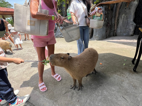 Travel Point Bali-Ketewel必去景点