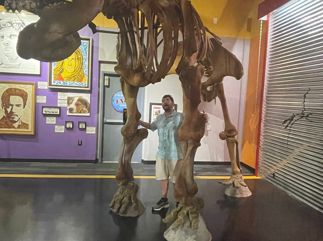 Ripley's Believe It Or Not-巴拿马城海滩必去景点