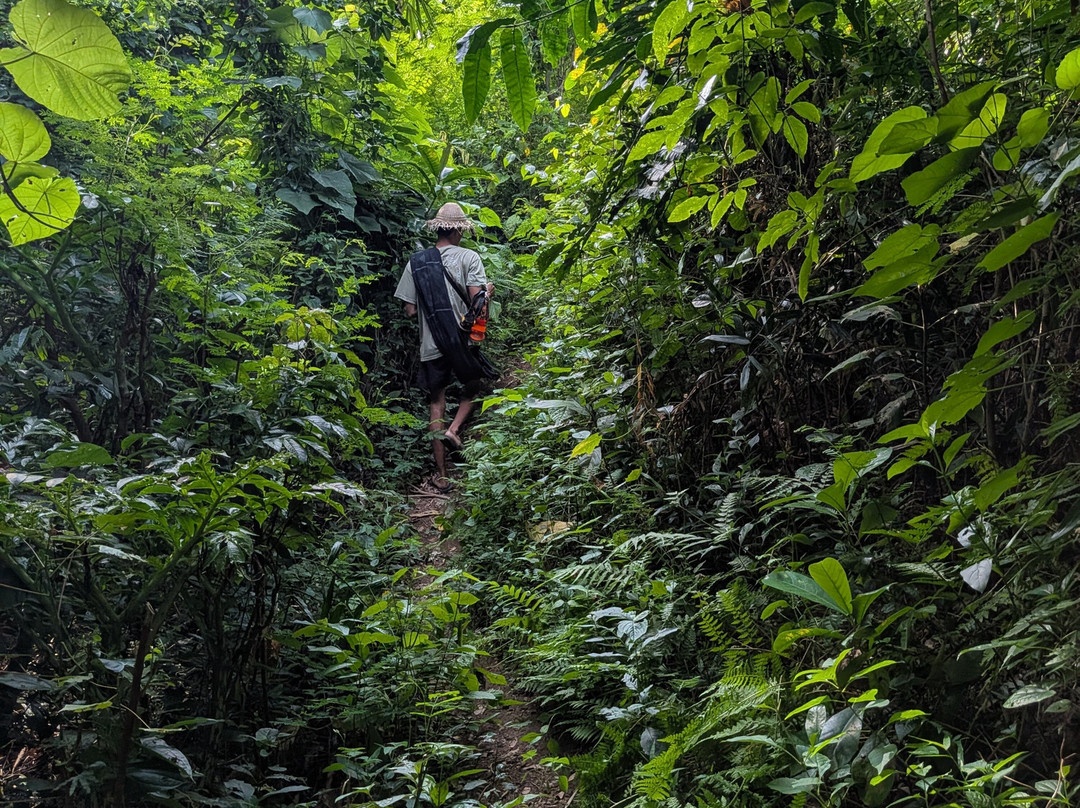 Monkey Cave Lombok-Pujut必去景点
