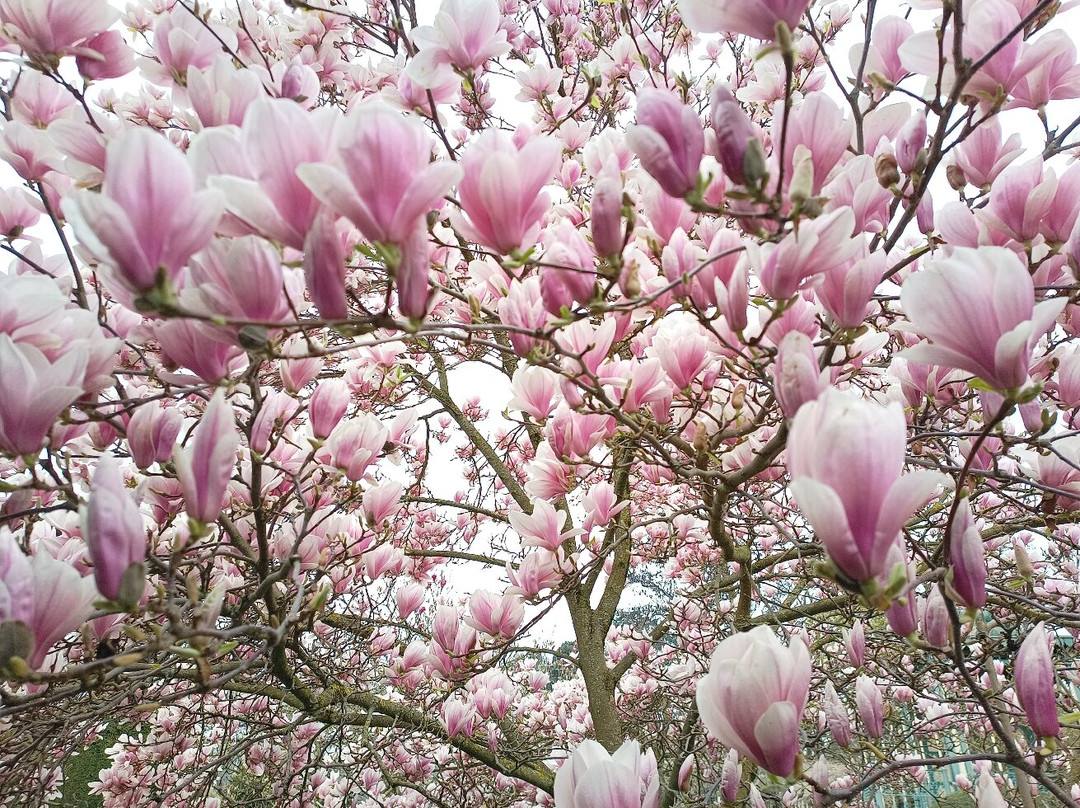 威廉玛动植物园-斯图加特必去景点