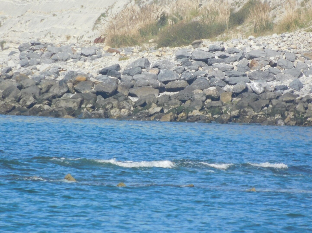 Playa de Arrigunaga-格乔必去景点