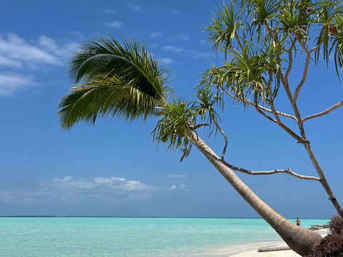 Balabac Tour By The Wanderwalkers-巴拉巴克必去景点