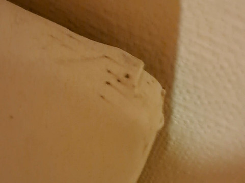 拉纳尔酒店主图