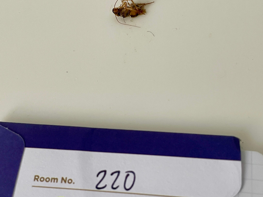 关岛机场南贝斯特韦斯特SureStay酒店主图