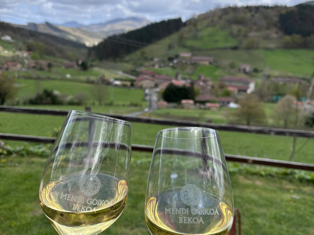 Mendi Goikoa Bekoa主图