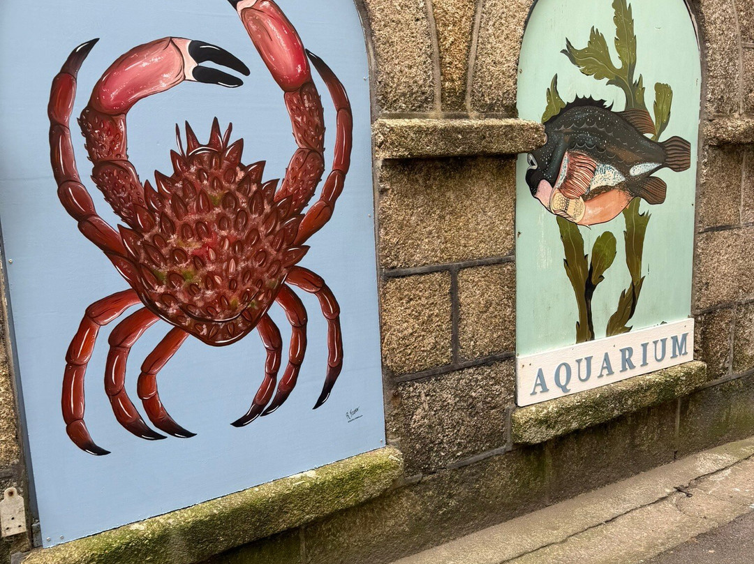 Fowey Aquarium-福伊必去景点
