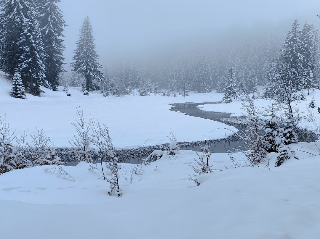 Durmitor National Park Visitor Centre-Zabljak必去景点