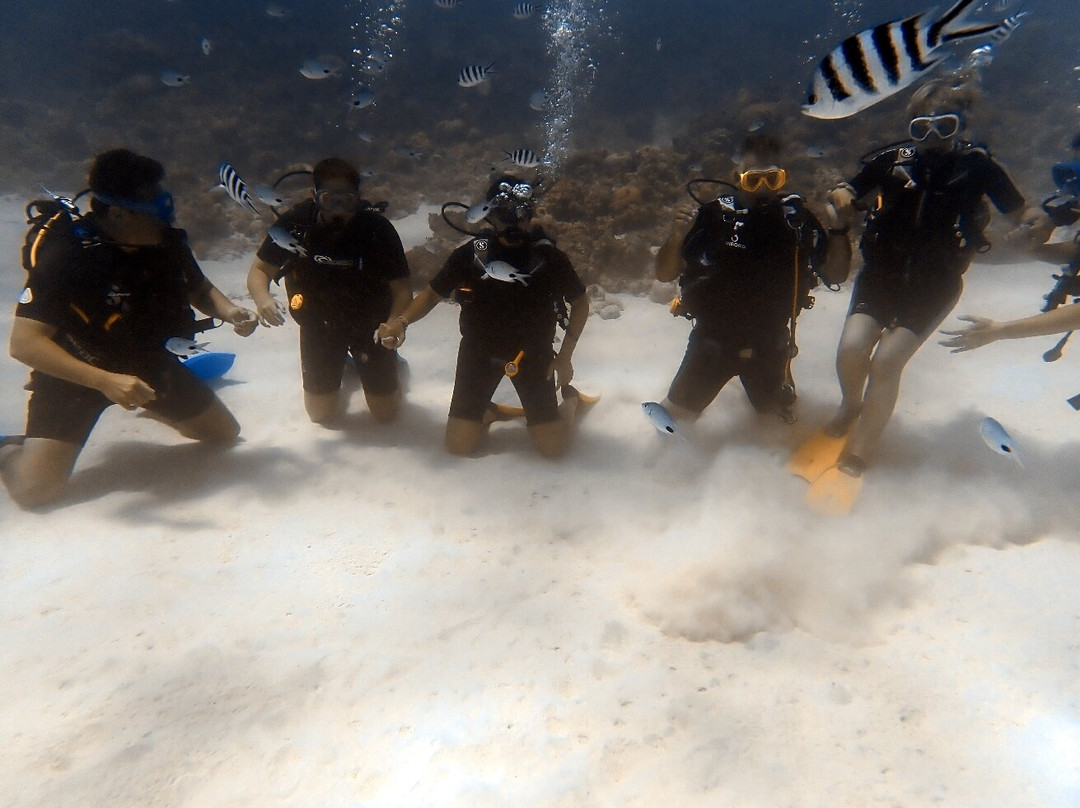 Dive Spirit Mauritius-卓欧毕雪必去景点
