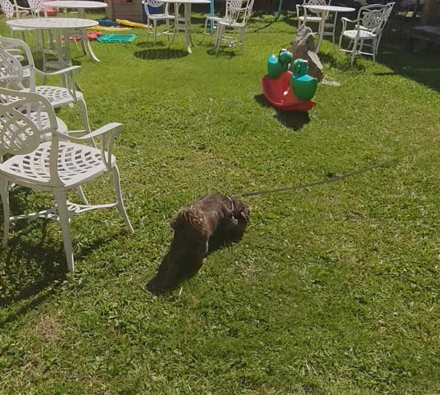 梅尔别墅酒店主图