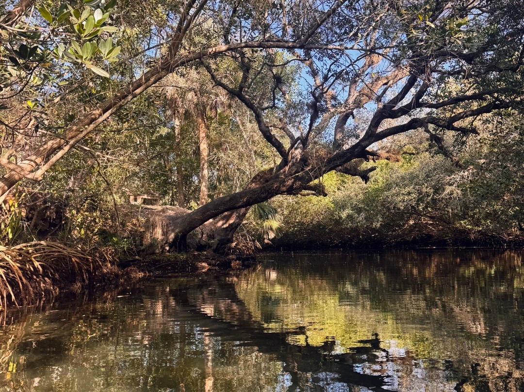Estero River Outfitters-埃斯特罗必去景点