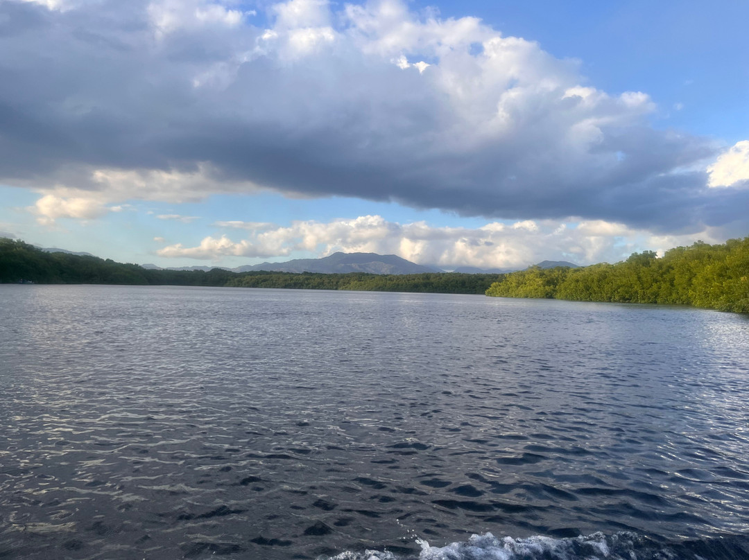 Nanan's Caroni Bird Sanctuary Tours-Caroni必去景点