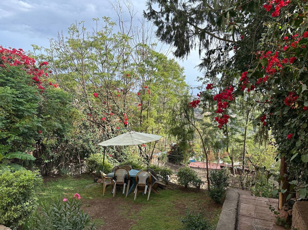 Red Rock Lalibela Hotel主图