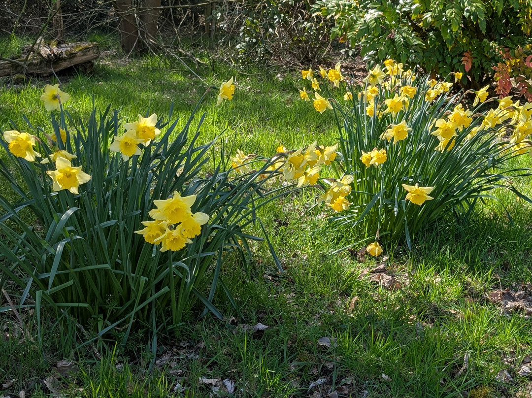 Green Island Gardens-Ardleigh必去景点