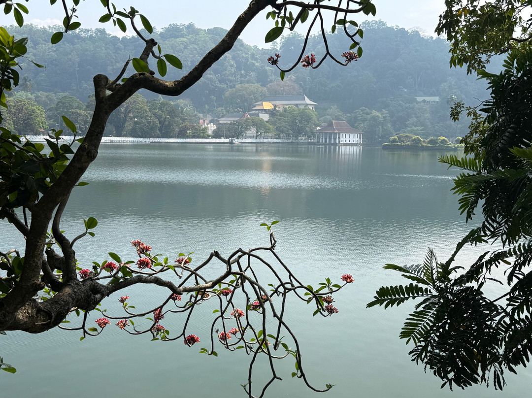 Sunrise Sri Lanka Travels and Tours-Ekala必去景点