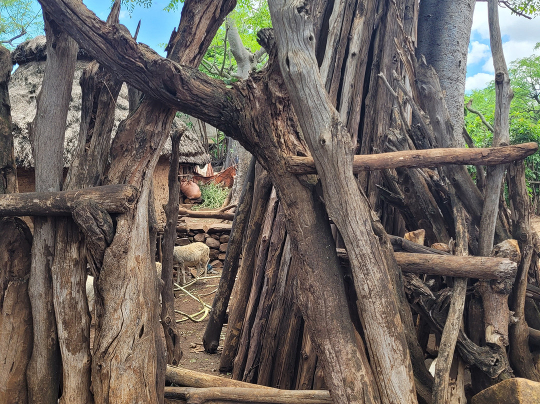 Konso Cultural Centre-Konso必去景点