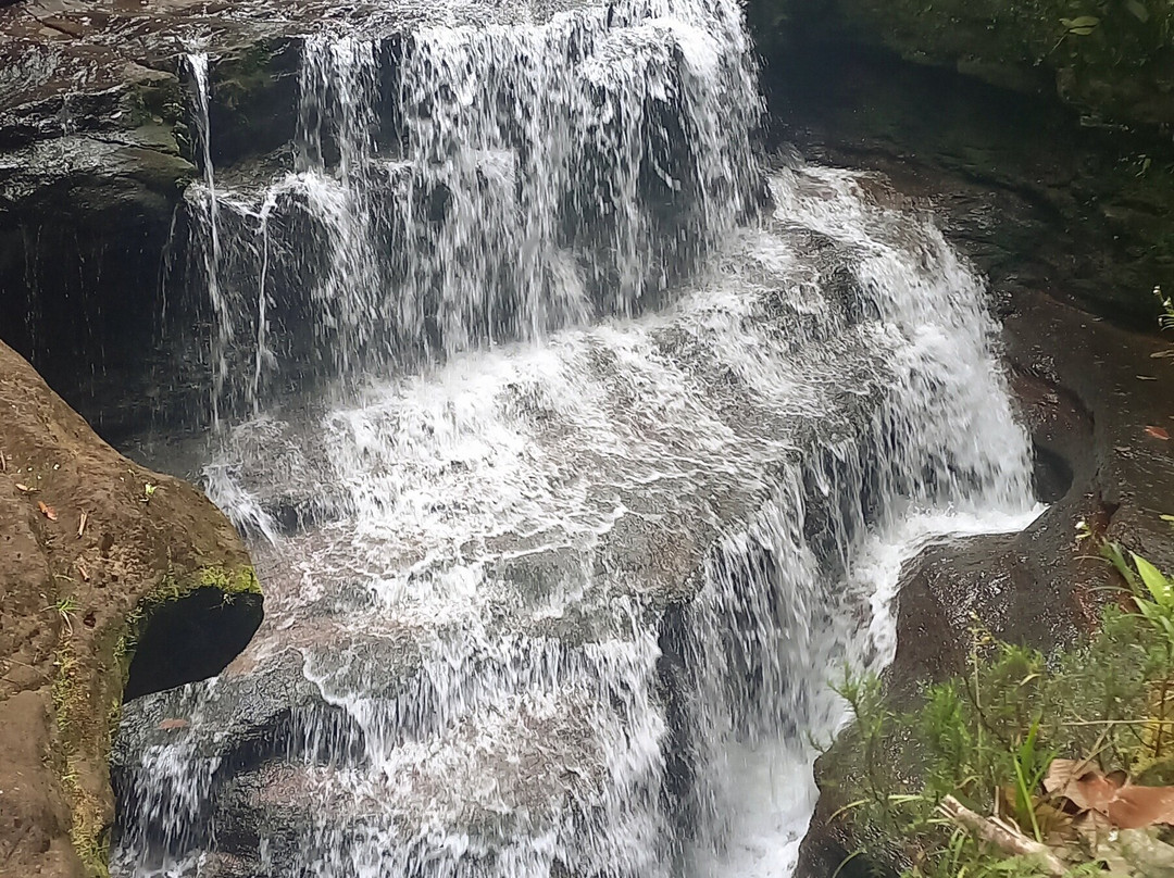 Aves y Aventuras en Putumayo-Mocoa必去景点