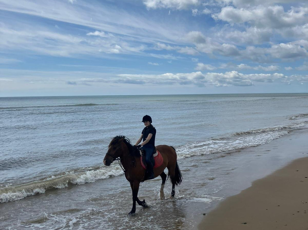 Shrule Equestrian Centre-Gorey必去景点