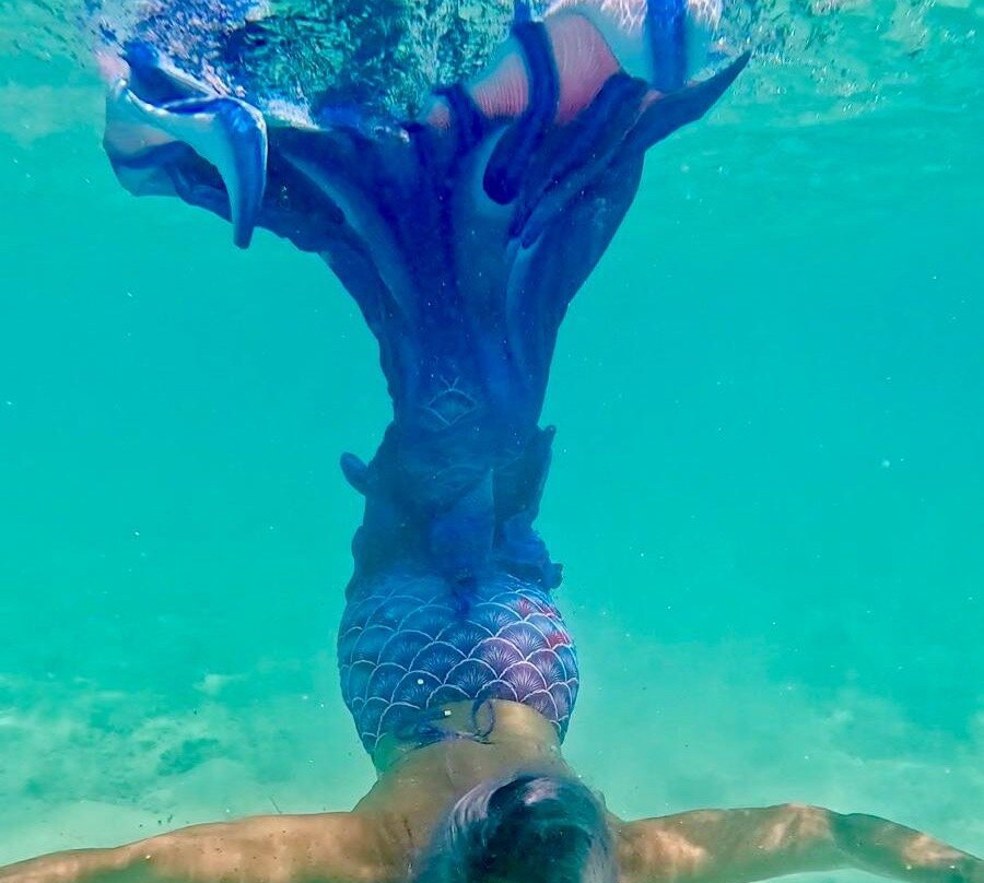 Euro-Divers Niva Kurumba Maldives-库鲁巴椰子岛必去景点