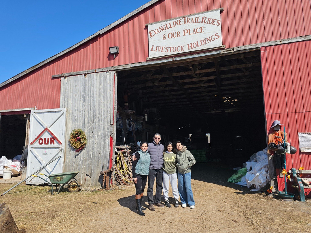 Evangeline Trail Rides-Windsor必去景点
