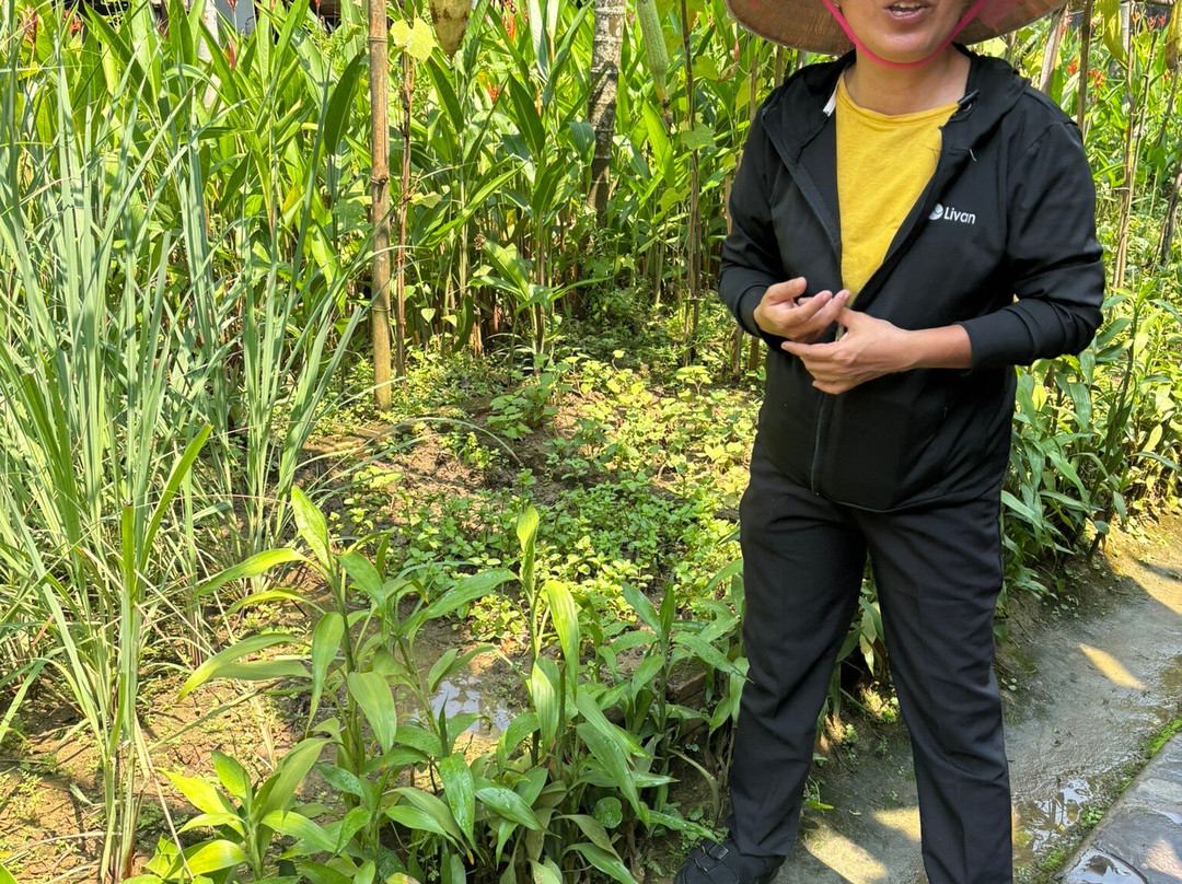 Red Bridge Cooking School & Restaurant - Hoi An Riverside-Cam Thanh必去景点