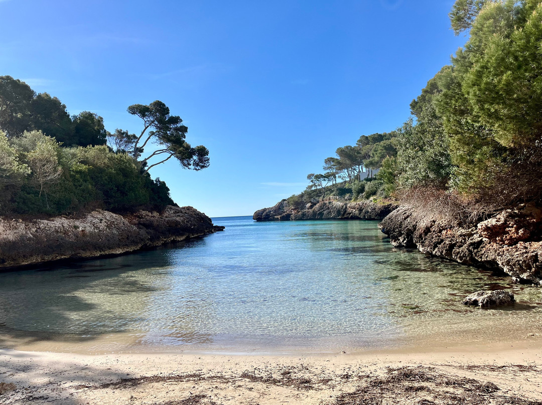 Cala d'Egos-Andratx必去景点