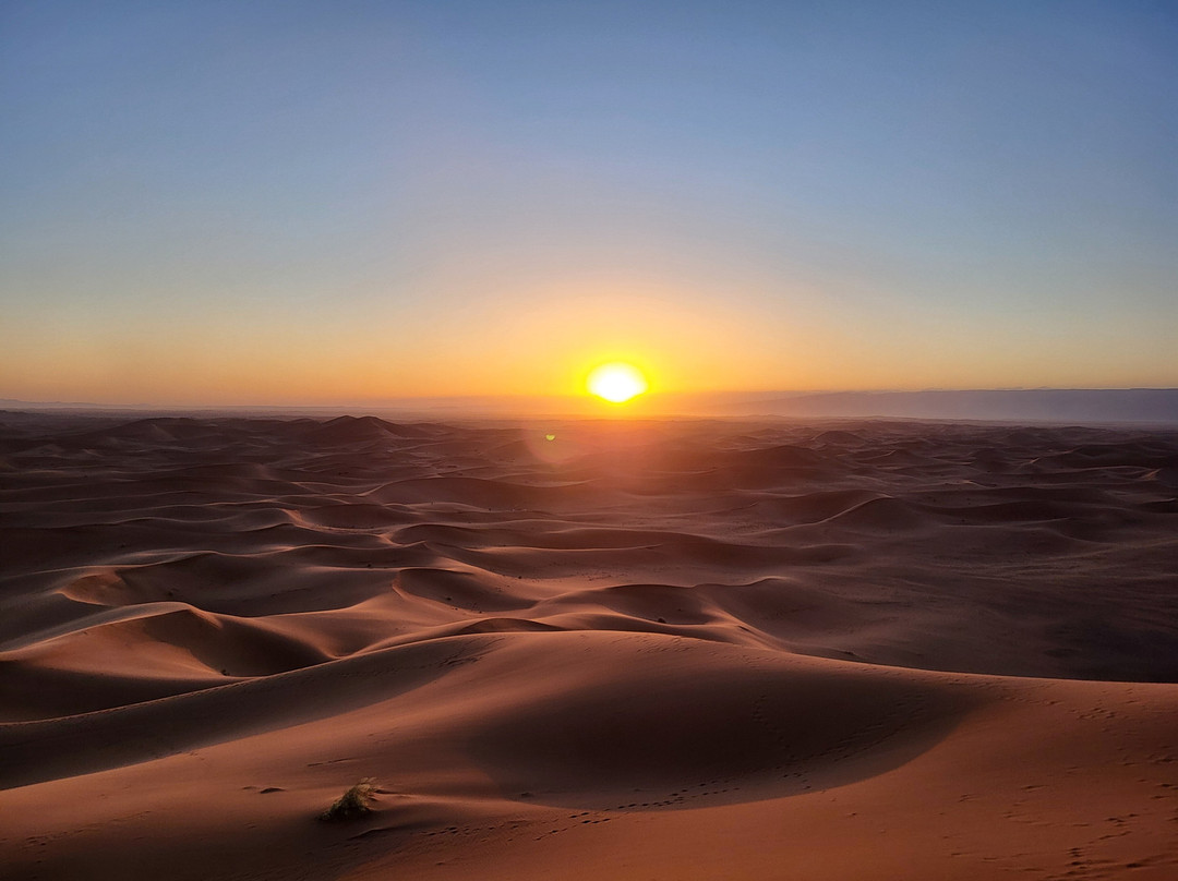 Desert passions-迈哈米德必去景点