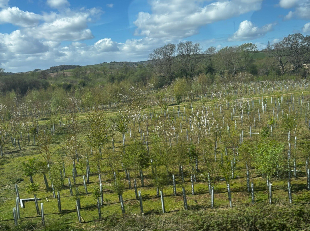 South Stoke Community Park-South Stoke必去景点
