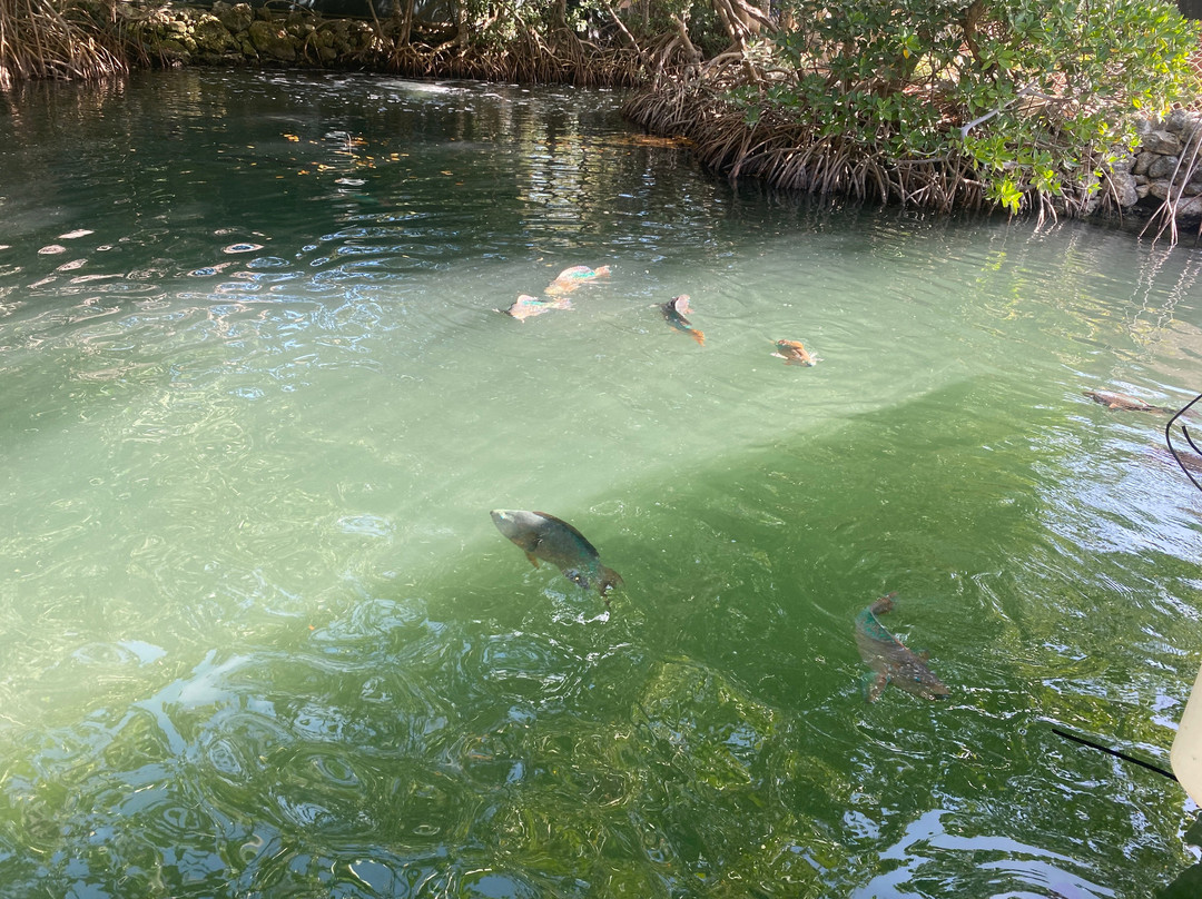 Florida Keys Aquarium Encounters-马拉松必去景点