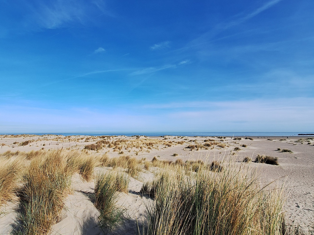 Radisson Blu Grand Hotel & Spa, Malo-les-bains主图