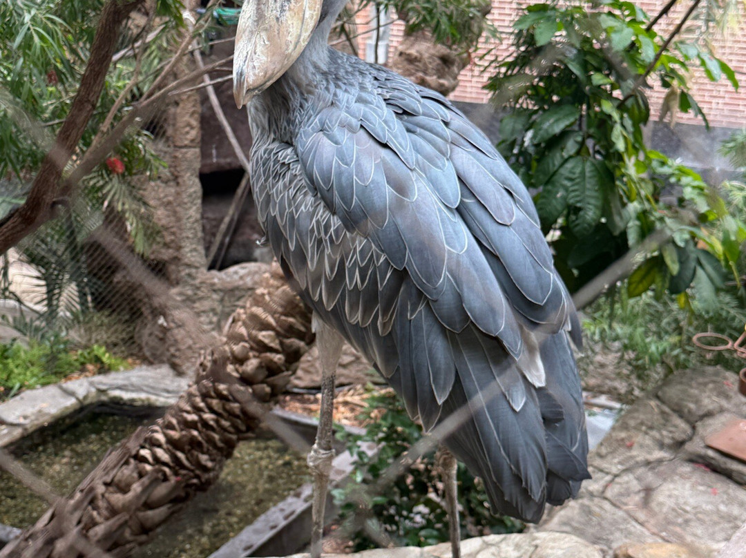 达拉斯世界水族馆-达拉斯必去景点