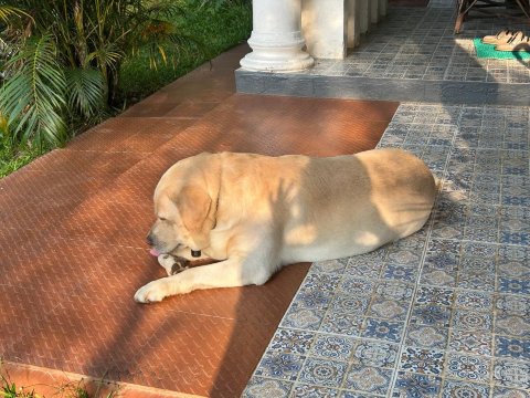 姆纳索皮尔民宿-旅行者