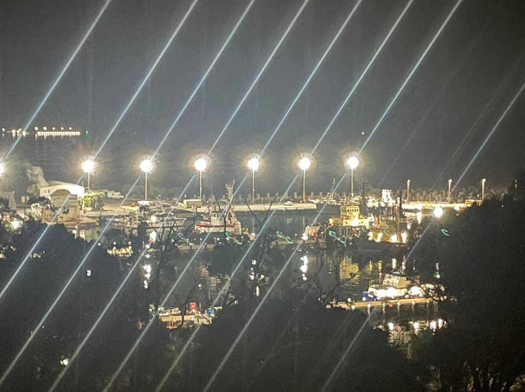 Snug Cove Bed and Breakfast主图