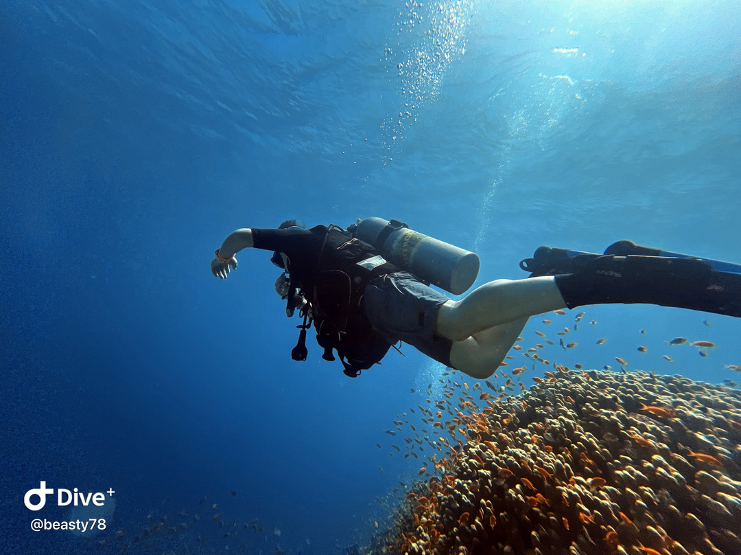 Aquarius Diving Club-马卡迪湾必去景点