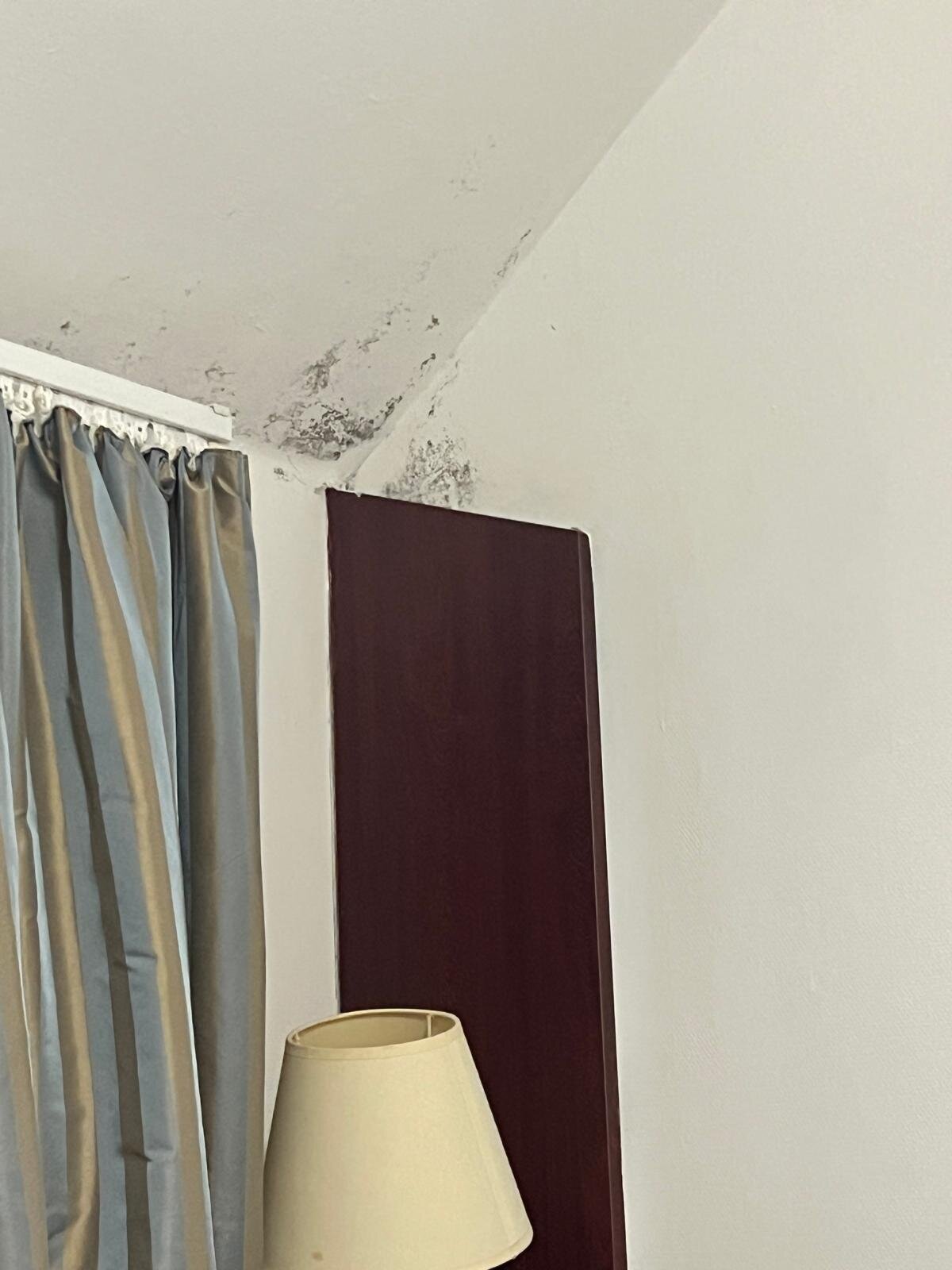 孚日山酒店-旅行者