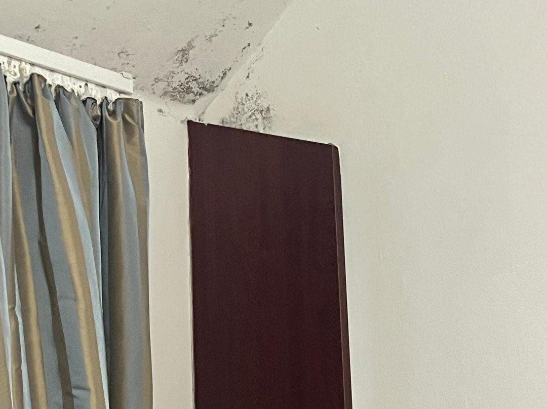 孚日山酒店主图