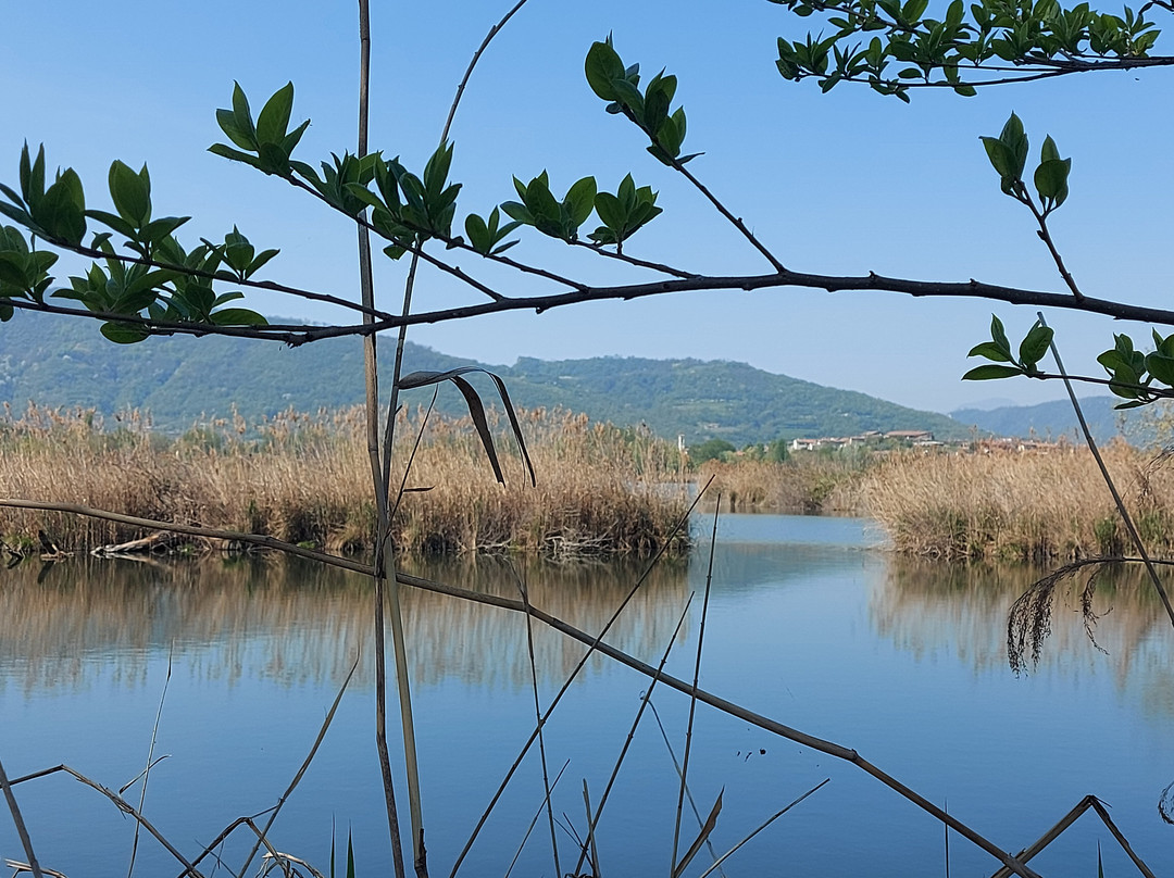Torbiere del Sebino-Provaglio d'Iseo必去景点