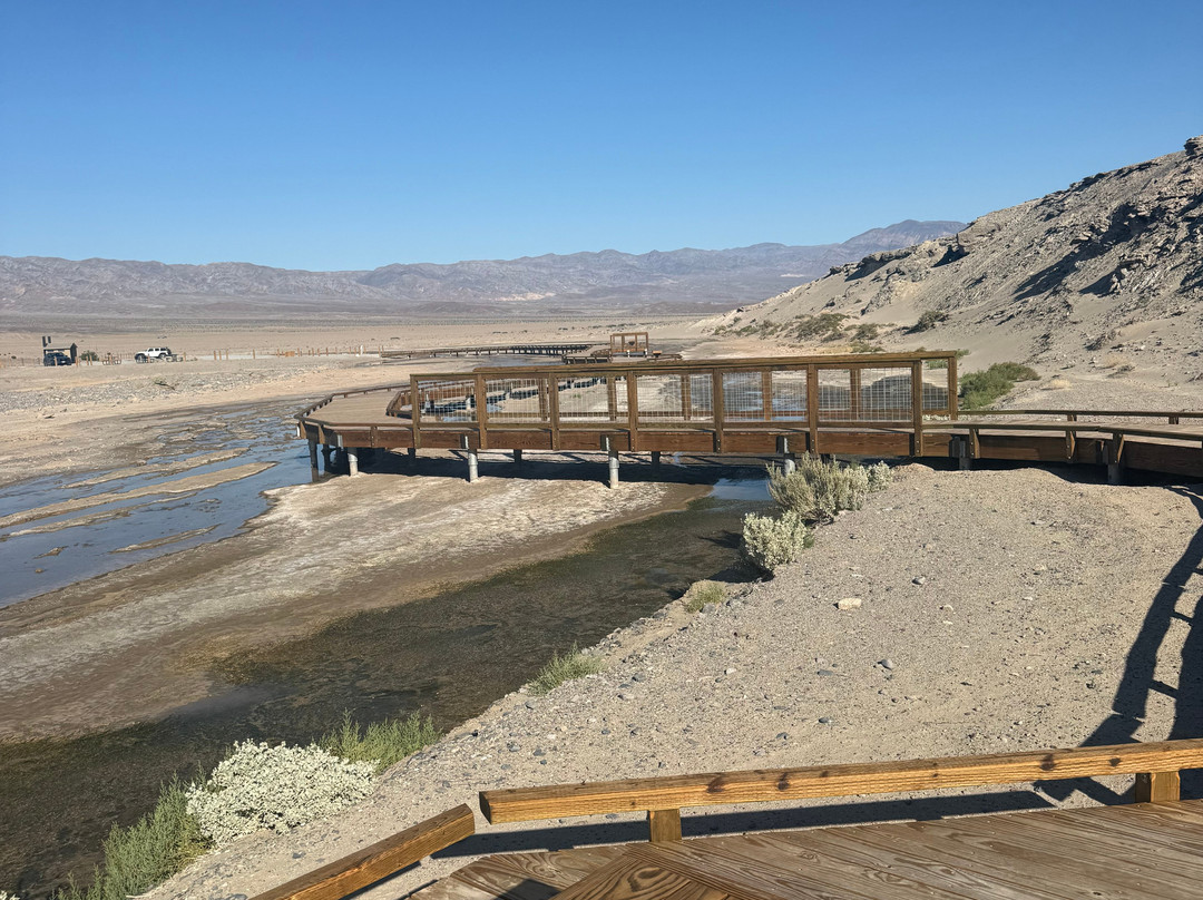 Salt Creek Interpretive Trail-死亡谷国家公园必去景点