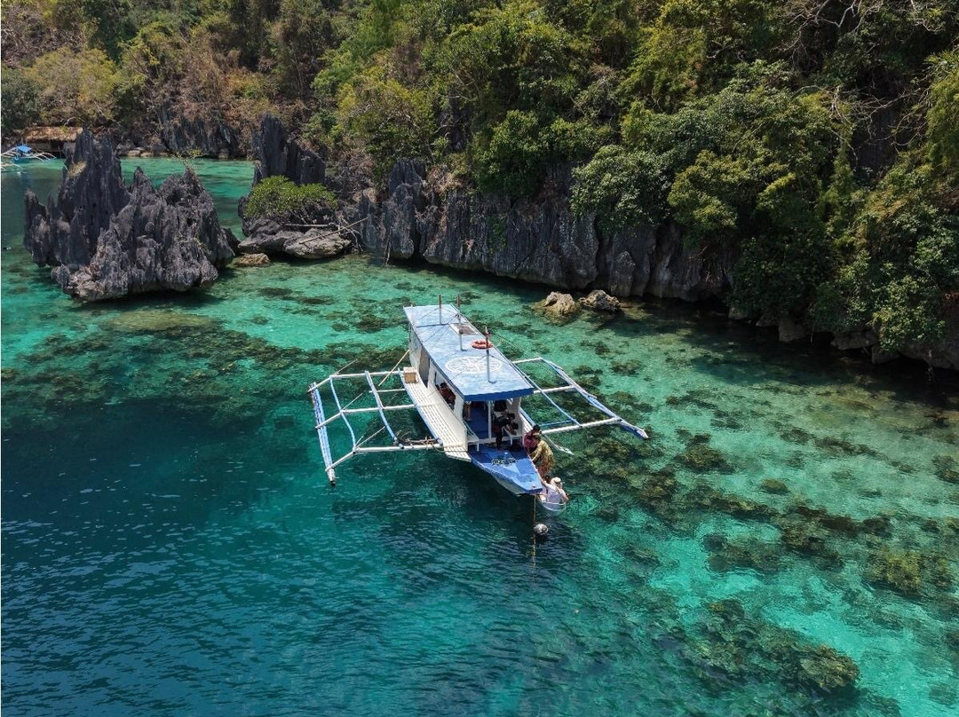 科隆有趣狮子酒店主图