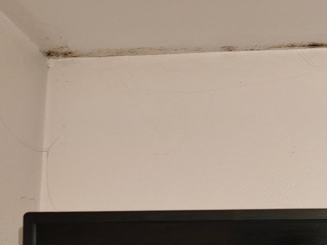 克莱伯酒店主图