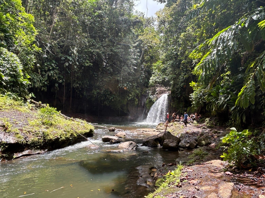 Saut de la Lézarde-Petit-Bourg必去景点