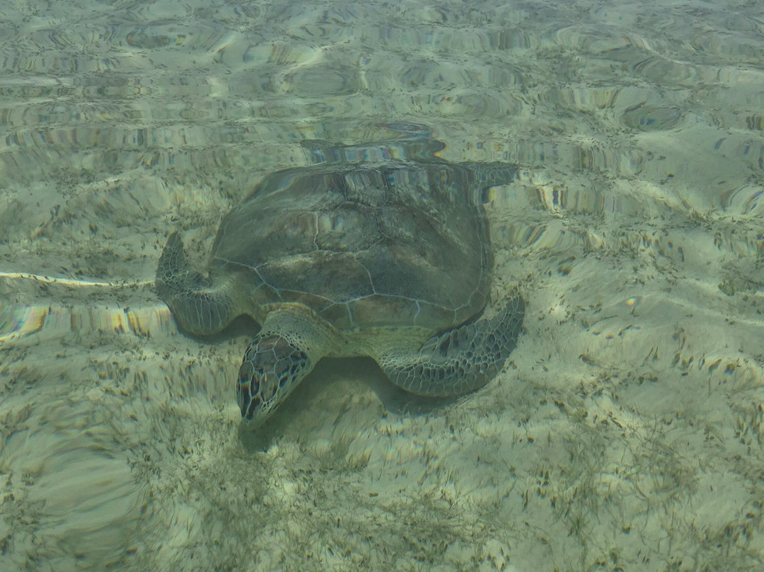 Balabac Tour By The Wanderwalkers-巴拉巴克必去景点
