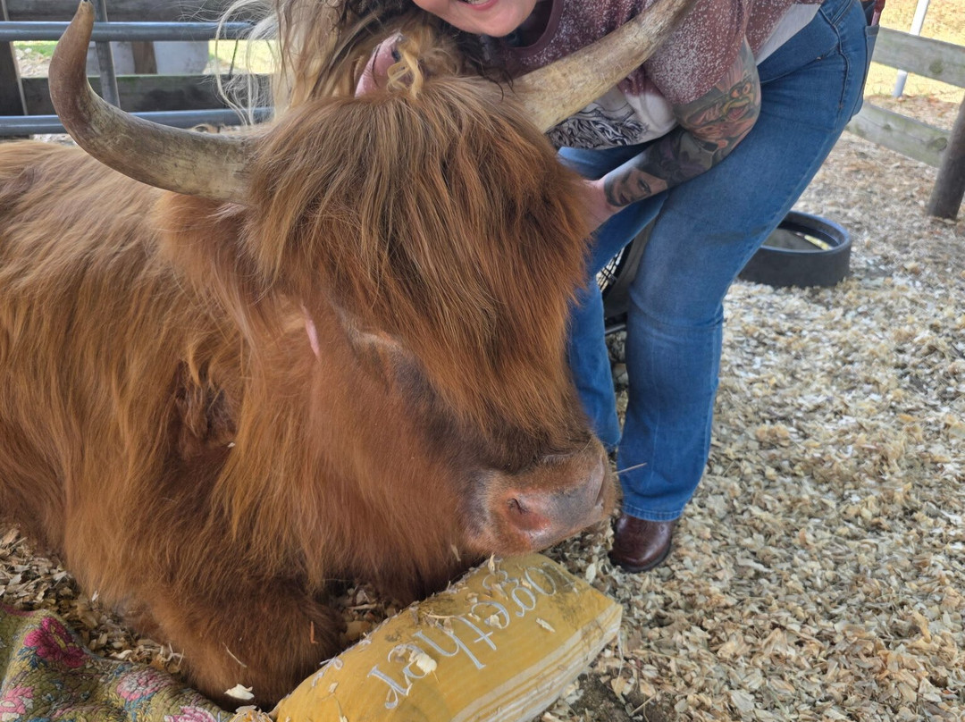 Rooterville Animal Sanctuary-Melrose必去景点