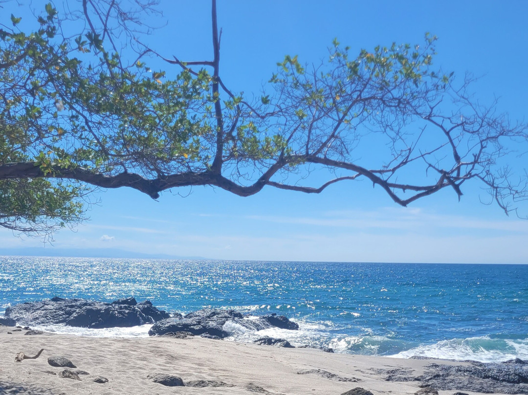 依兰依兰海滩度假村主图