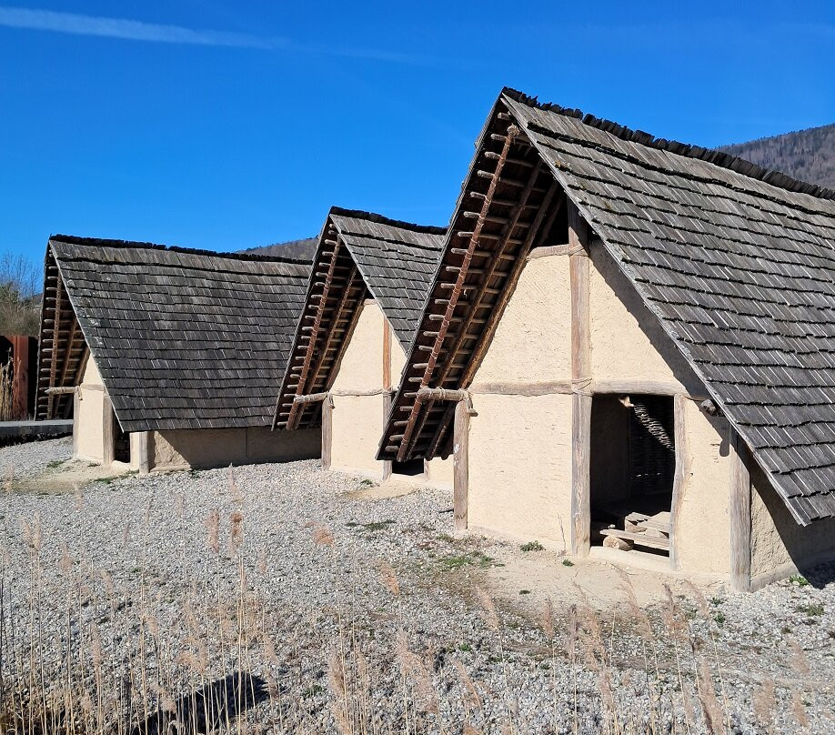 Laténium Parc et musée d'archéologie-Hauterive必去景点
