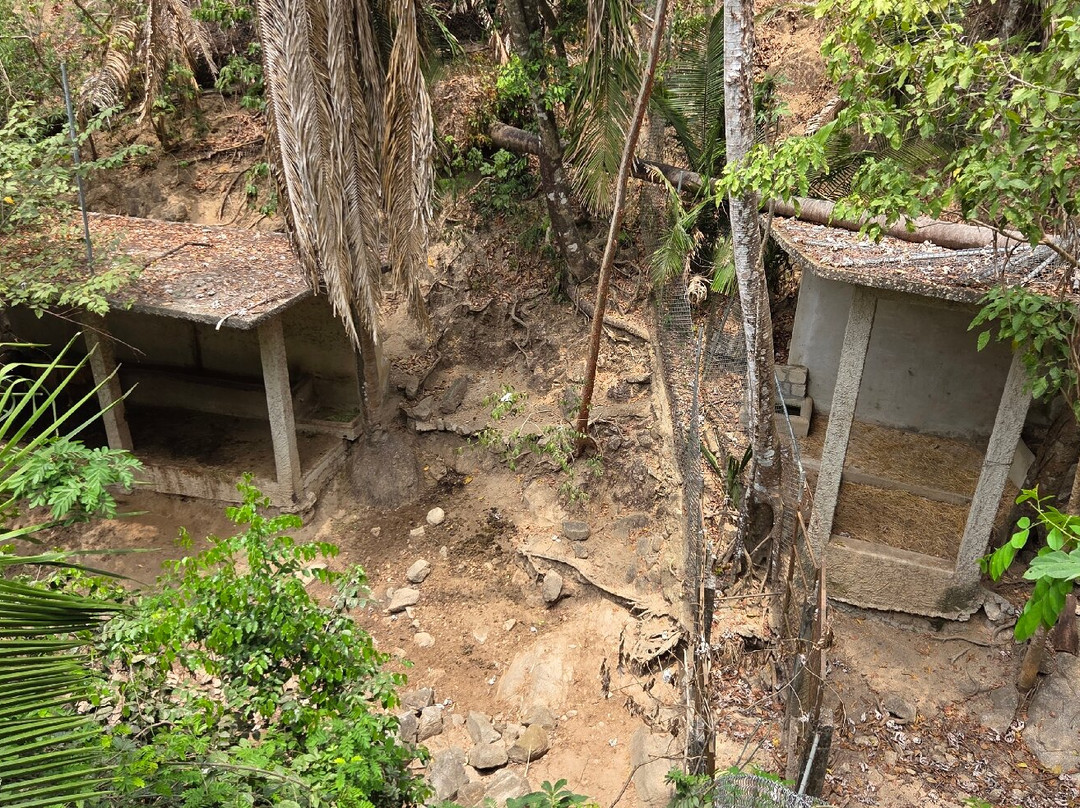 Zoologico de Vallarta-Mismaloya必去景点