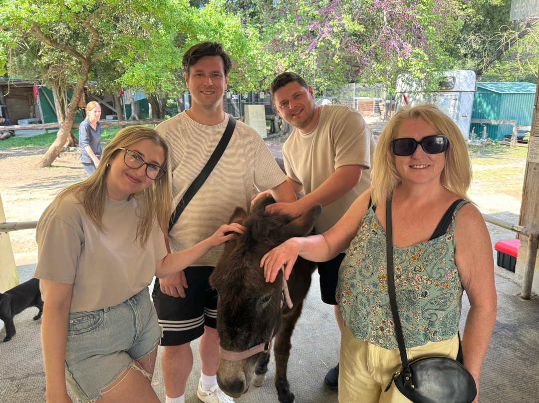 Corfu Donkey Rescue-Paleokastritsa必去景点