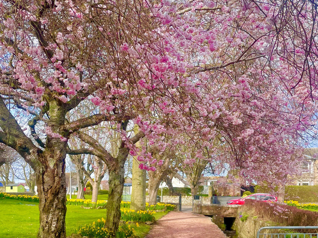 Victoria Gardens-Anstruther必去景点